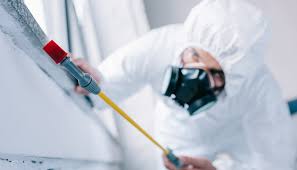 Real Estate Pest Inspections in Rye Brook, NY